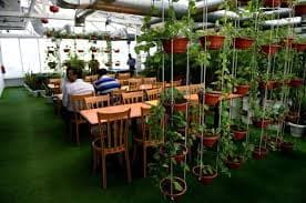 CIMA India Liaison Office Images photo 4